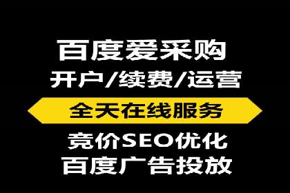 百度竞价排名案例分析：提升网站流量与转化率